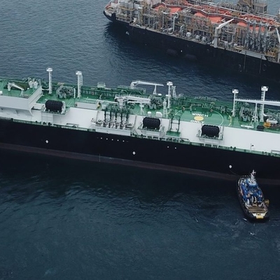 Бампер фланца 80Kpa ABS Q235 морской резиновый для несущих газа стыкуя бампер