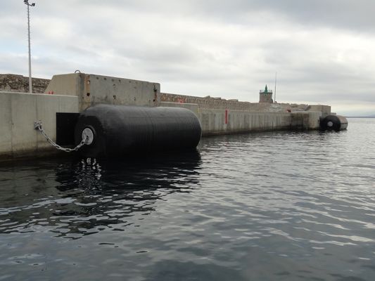 Подгонянный плавать пенится заполненный обвайзер с автошиной и цепью