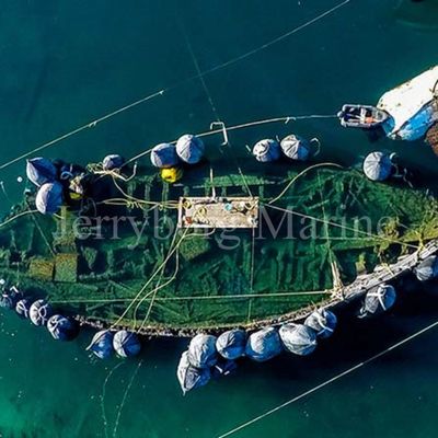 Пневматический резиновый обвайзер корабля природного каучука Иокогама обвайзера сделанный в Китае
